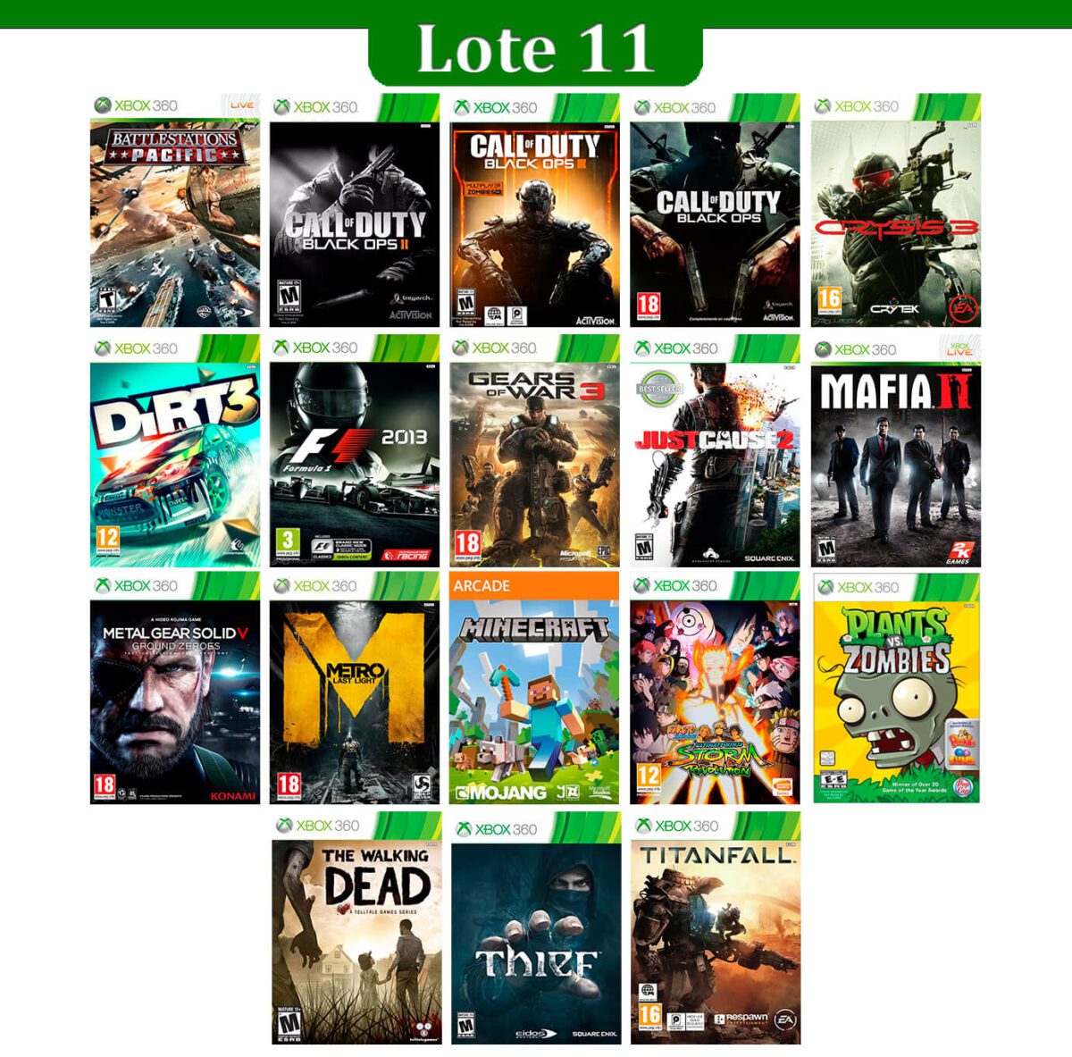 Lote 11