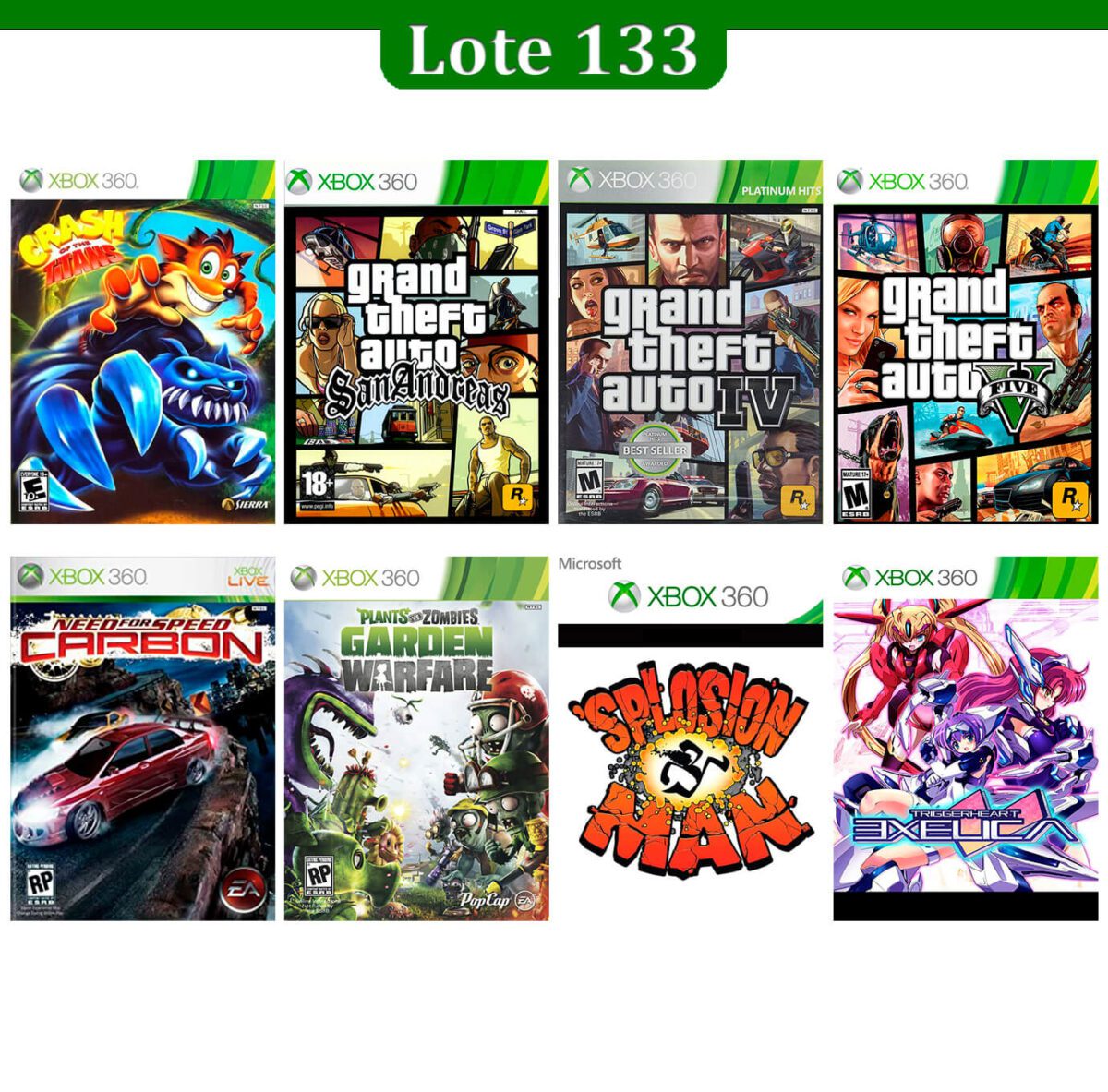 Lote 133