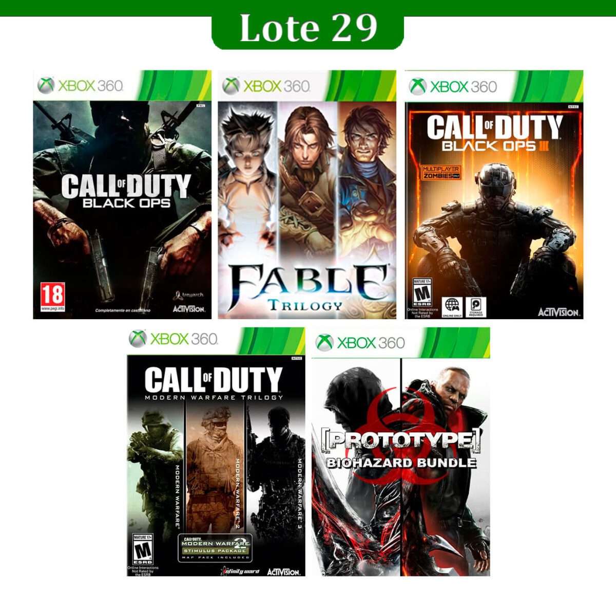 Lote 29