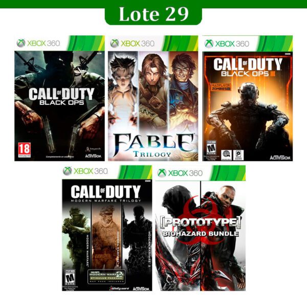 Lote 29