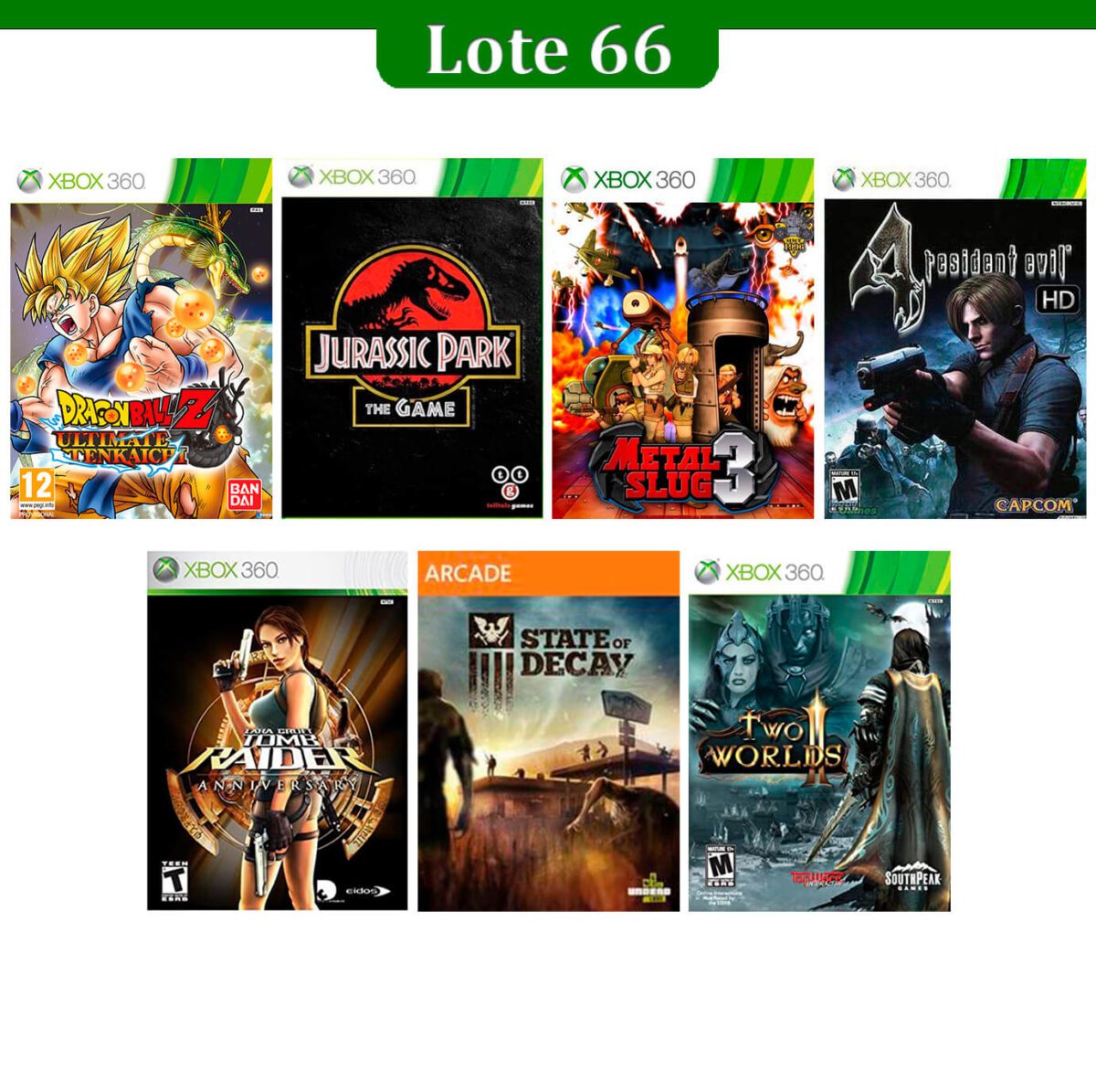 Lote 66
