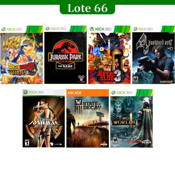 Lote 66